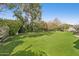 Manicured backyard with a lush green lawn, mature trees, and ample space for recreation and relaxation at 1414 E Vermont Ave, Phoenix, AZ 85014