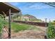 Lush backyard featuring mature trees, green lawn, and mountain views, creating a serene outdoor oasis at 1844 E Cinnabar Ave, Phoenix, AZ 85020