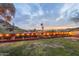 Backyard view with city skyline, garden, charming string lights and lush green lawn at 1844 E Cinnabar Ave, Phoenix, AZ 85020