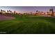 An expansive golf course view features well-manicured greens, palm trees, and residential homes in the background at 22813 N Del Monte Dr, Sun City West, AZ 85375