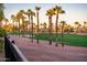 Scenic view of a golf course and palm trees behind a black metal fence at 22813 N Del Monte Dr, Sun City West, AZ 85375