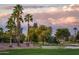 Gorgeous golf course featuring mature trees, palm trees, a sand trap, and manicured grounds at 22813 N Del Monte Dr, Sun City West, AZ 85375