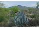 Lush desert landscape featuring an agave plant with mountains in the distance at 37654 N 102Nd Pl, Scottsdale, AZ 85262