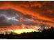 Beautiful sunset featuring vibrant oranges and reds in the sky over desert vegetation at 37654 N 102Nd Pl, Scottsdale, AZ 85262