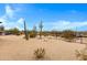 Large desert backyard with a fire pit, cacti, and gravel landscape, perfect for outdoor entertaining at 38413 N 16Th St, Phoenix, AZ 85086