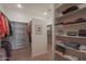 Walk-in closet with built-in shelving and ample storage space for clothes and accessories at 40262 N 107Th Pl, Scottsdale, AZ 85262