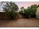 Gravel backyard featuring fruit trees and a block wall at 4662 W Fallen Leaf Ln, Glendale, AZ 85310