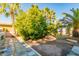 Outdoor space featuring mature citrus trees, decorative palms, and stone-style patio at 4747 W Sunnyside Ave, Glendale, AZ 85304