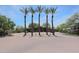 Community entrance featuring mature palm trees, lush green trees and bushes surrounding the building at 5401 E Van Buren St # 1103, Phoenix, AZ 85008