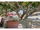 Charming courtyard with a decorative tree, signage for Joyride, and potted plants adding greenery at 5529 N 19Th St, Phoenix, AZ 85016