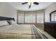 Cozy primary bedroom with a plush king bed, neutral carpet, and bright shuttered windows at 9149 E Auburn St, Mesa, AZ 85207