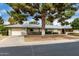 Well-kept single-story home with mature tree and established landscaping at 9614 W Pleasant Valley Rd, Sun City, AZ 85351