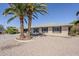 Charming single-story home featuring a two-car garage, desert landscaping, and mature palm trees at 11026 W Bluefield Ct, Sun City, AZ 85351