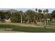 Scenic golf course and pond lined with palm trees, under mountain backdrop at 11612 S 51St St, Phoenix, AZ 85044