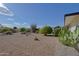 Expansive backyard landscaped with native desert plants at 13229 W Marble Dr, Sun City West, AZ 85375