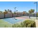 Well-maintained pickleball court in a backyard setting, perfect for recreational sports and outdoor activities at 315 S Racine Ct, Gilbert, AZ 85296