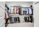 Large walk-in closet offering ample storage with organized shelving and hanging racks at 4207 S Electron --, Mesa, AZ 85212