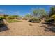Landscaped backyard with putting green and desert vegetation for low maintenance at 5721 W Molly Ln, Phoenix, AZ 85083