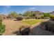 Beautiful backyard with desert landscaping, putting green, and mountain views at 5721 W Molly Ln, Phoenix, AZ 85083