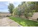 Backyard with lush artificial turf, desert landscaping, and privacy from mature trees at 7745 E Calle De Las Brisas --, Scottsdale, AZ 85255
