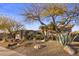 Beautifully landscaped front yard featuring desert plants and rock accents at 9560 E Preserve Way, Scottsdale, AZ 85262