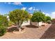 Backyard featuring lush fruit trees amidst the desert landscape, perfect for enjoying the outdoors at 1549 E Westchester Dr, Chandler, AZ 85249