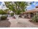 Backyard featuring gravel landscaping, a covered patio, and a lush citrus tree at 1632 Leisure World --, Mesa, AZ 85206