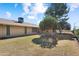 Spacious backyard with mature orange tree offering shade and privacy at 18018 N Highwood Ct, Sun City, AZ 85373