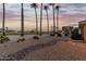 Expansive backyard with desert landscaping featuring decorative rock and mature palm trees at 20029 N Coronado Ridge Dr, Surprise, AZ 85387