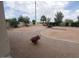 Expansive backyard features mature landscaping and pavers, providing a serene retreat for relaxation and outdoor entertainment at 40232 W Marion May Ln, Maricopa, AZ 85138