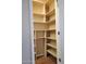 Walk-in closet with built-in shelving at 40232 W Marion May Ln, Maricopa, AZ 85138