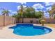 Backyard pool with desert landscaping featuring a light-colored textured patio and palm trees at 4643 E Villa Maria Dr, Phoenix, AZ 85032