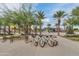 Stylish bike rack holding a row of beach cruisers, set against a backdrop of palm trees at 4834 S Meteor --, Mesa, AZ 85212