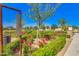 Entrance to the community garden with flowering plants, green shrubbery, and view of neighborhood homes at 4834 S Meteor --, Mesa, AZ 85212