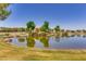 Scenic community lake with calm waters, mature trees, and picturesque landscaping at 4834 S Meteor --, Mesa, AZ 85212