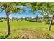 Scenic view of a community park framed by trees, showcasing a green space for relaxation and recreation at 4834 S Meteor --, Mesa, AZ 85212