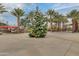 Festive outdoor scene with a beautifully decorated Christmas tree and palm trees under a partly cloudy sky at 4834 S Meteor --, Mesa, AZ 85212