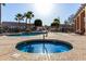 Community hot tub and pool area with lounge chairs, tropical palm trees and landscaping at 5826 E Nathan St, Mesa, AZ 85215