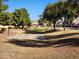 Community basketball court surrounded by mature landscaping, adding recreational space and curb appeal to the neighborhood at 8527 E Lindner Ave, Mesa, AZ 85209