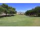 Lush green lawn with trees and a picnic pavilion, creating a serene and inviting outdoor space at 9012 E Sutton Dr, Scottsdale, AZ 85260