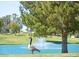 View of a golf course pond with a goose in the foreground, featuring a fountain and a lush green landscape at 9576 E Fairway Blvd, Sun Lakes, AZ 85248