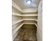 Walk-in pantry offering ample shelving and storage space at 1001 W 17Th St, Tempe, AZ 85281