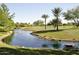 Scenic pond with lush landscaping, palm trees, and manicured lawns at 12957 W Hummingbird Ter, Peoria, AZ 85383