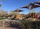 Community playground with slides and shaded structures surrounded by trees and greenery at 20040 E Kestrel St, Queen Creek, AZ 85142