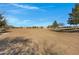 Vast community open space offering a natural setting with sparse trees and clear skies, promoting a sense of tranquility at 20331 N Fletcher Way, Peoria, AZ 85382