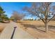 Scenic park view with a walking path, trees, and open space on a sunny day, perfect for recreation at 20331 N Fletcher Way, Peoria, AZ 85382