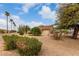 Large backyard with desert landscaping, trees, and views of the surrounding neighborhood at 20408 N Tanglewood Dr, Sun City West, AZ 85375