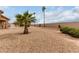 Low-maintenance backyard landscaped with gravel, bushes, and palm trees at 20408 N Tanglewood Dr, Sun City West, AZ 85375