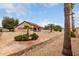 Expansive backyard featuring a variety of desert plants and trees, offering privacy at 20408 N Tanglewood Dr, Sun City West, AZ 85375
