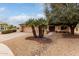 Beautifully landscaped front yard with desert landscaping and mature tree for added shade at 20408 N Tanglewood Dr, Sun City West, AZ 85375